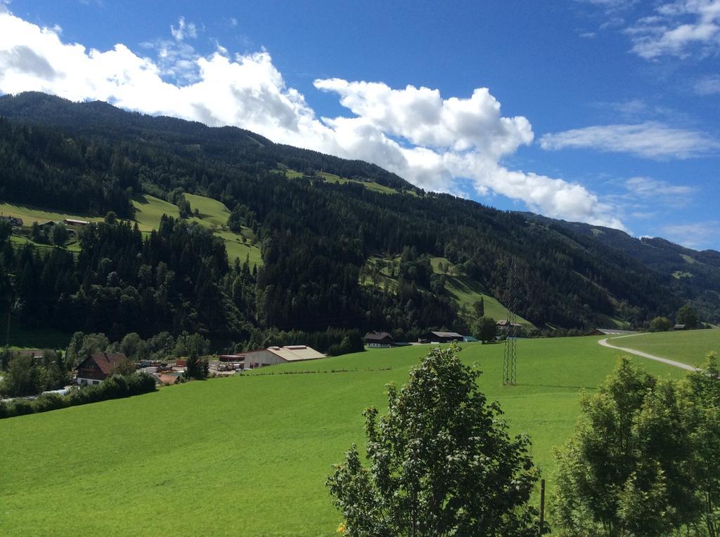 Appartementhaus Evelyn Шладминг Номер фото
