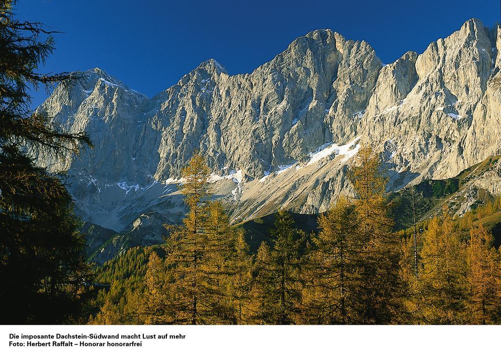 Appartementhaus Evelyn Шладминг Экстерьер фото